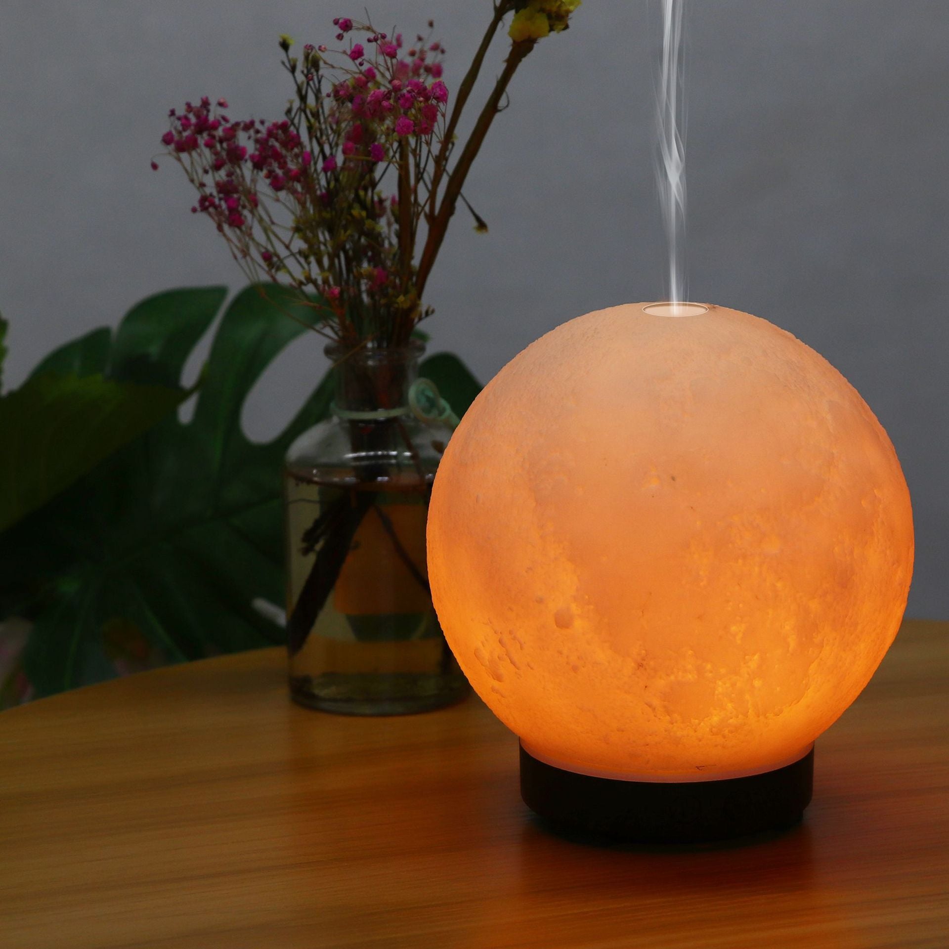 Moon Light Diffuser